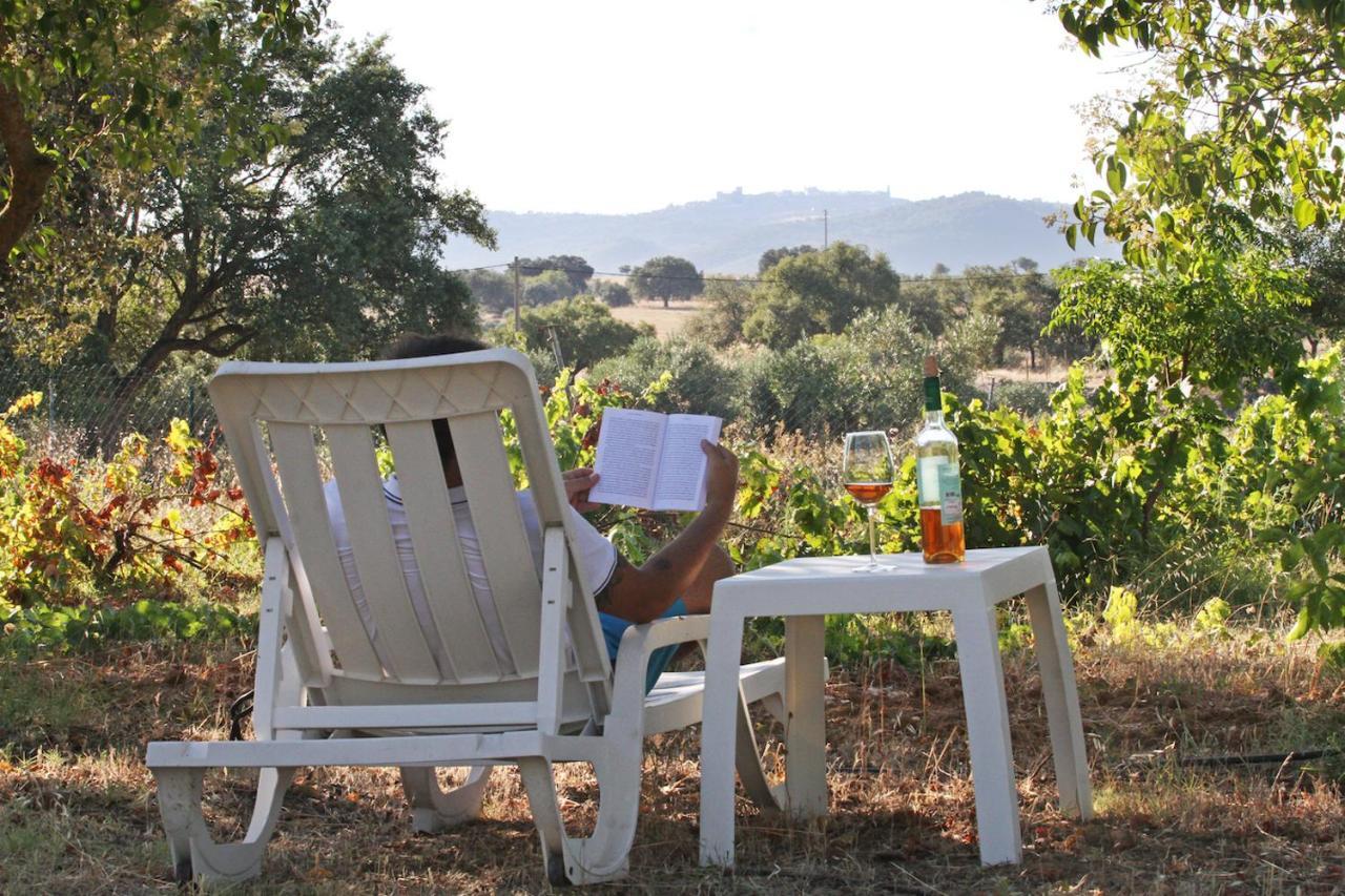 Monte Do Colmeal - Country House & Wine Guest House Mourao Exterior photo